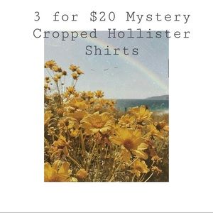 3 Mystery Cropped Hollister Shirts